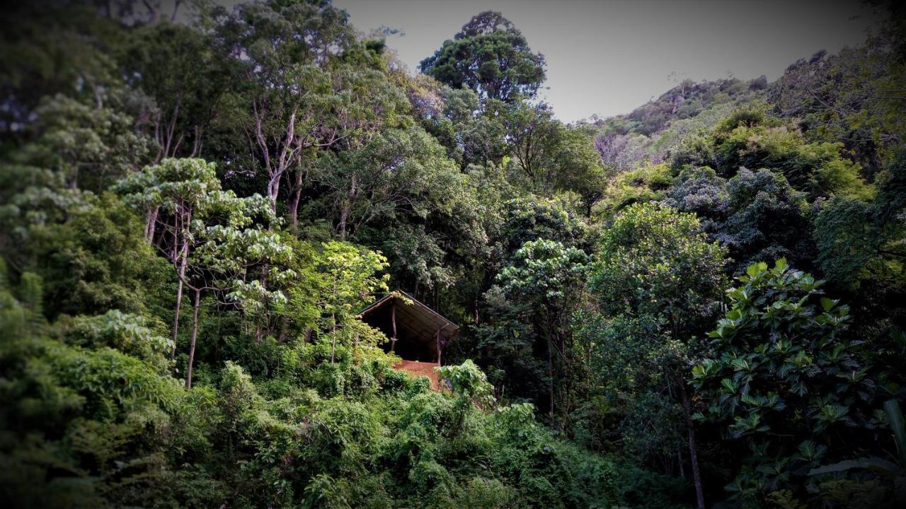 Chalet In The Jungle Pallegama Buitenkant foto
