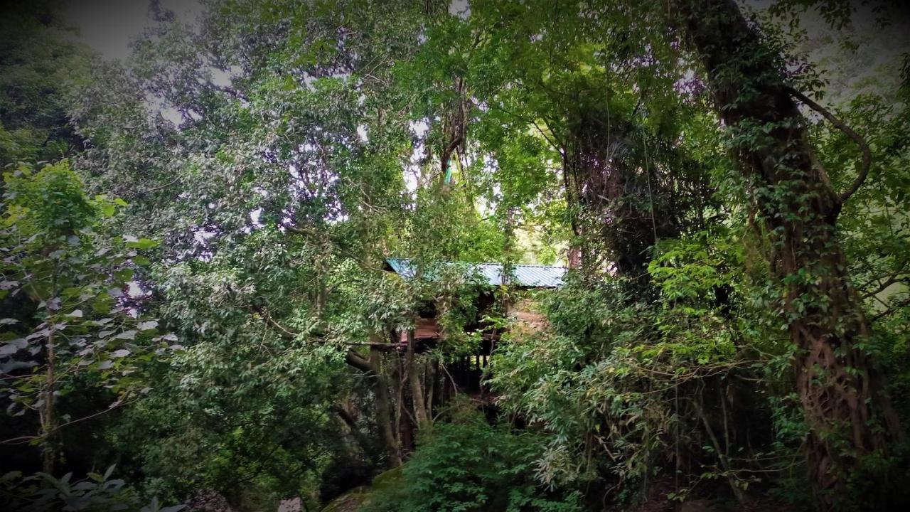 Chalet In The Jungle Pallegama Buitenkant foto