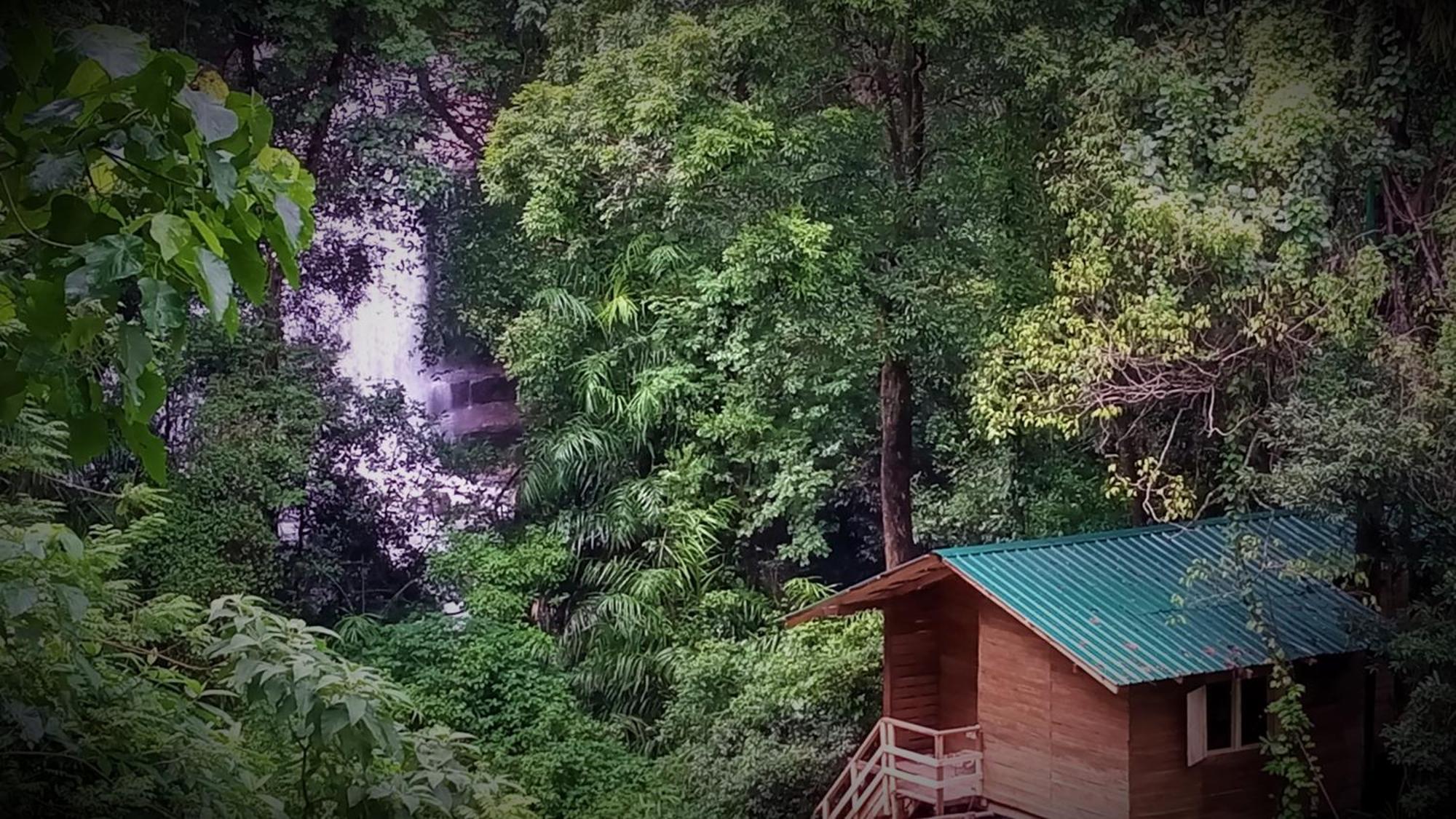 Chalet In The Jungle Pallegama Buitenkant foto