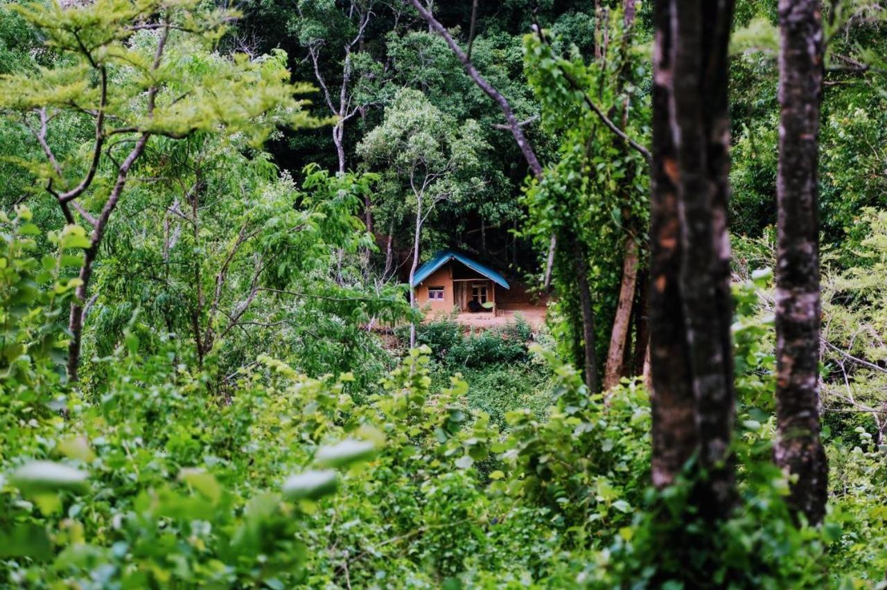 Chalet In The Jungle Pallegama Buitenkant foto