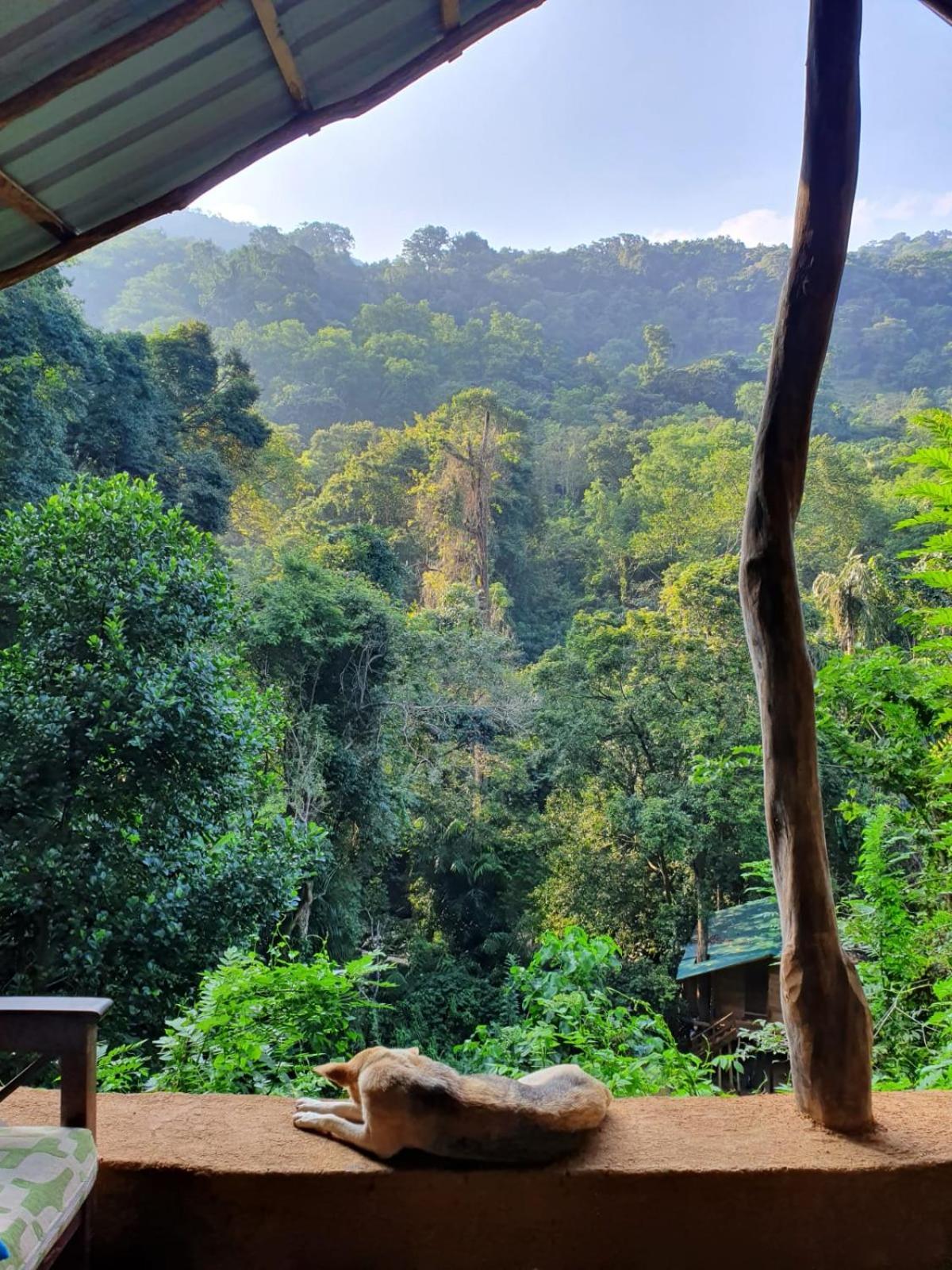 Chalet In The Jungle Pallegama Buitenkant foto